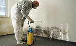 mold