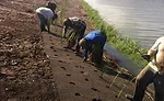 EcoShield