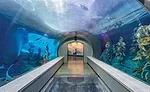 Polk Penguin Conservation Center at the Detroit Zoo