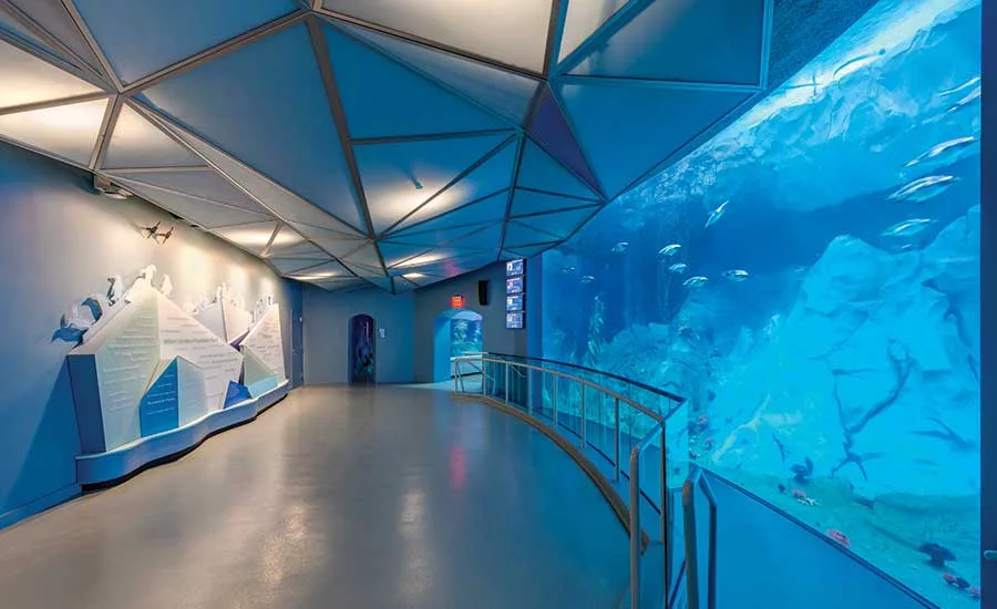 Polk Penguin Conservation Center at the Detroit Zoo