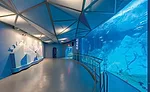 Polk Penguin Conservation Center at the Detroit Zoo
