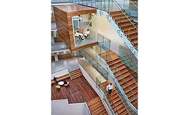Allen Institute