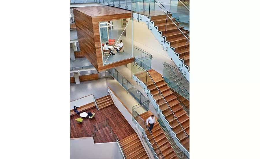 Allen Institute