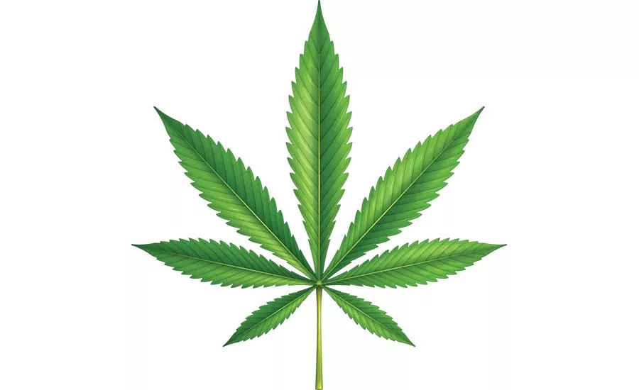 Legal Weed