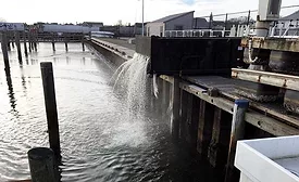 Nantucket Harbor raw sewage discharge