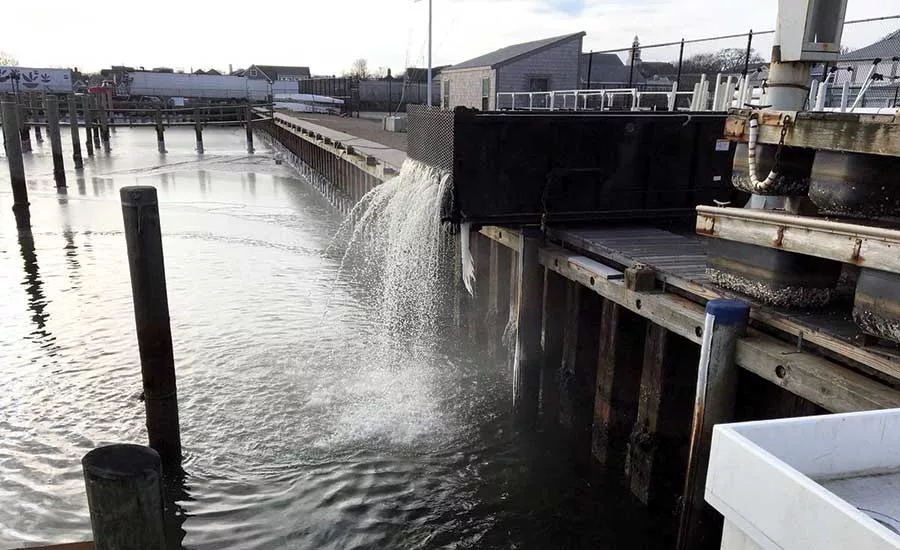 Nantucket Harbor raw sewage discharge