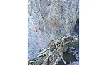 Catwalk Trail Reconstruction