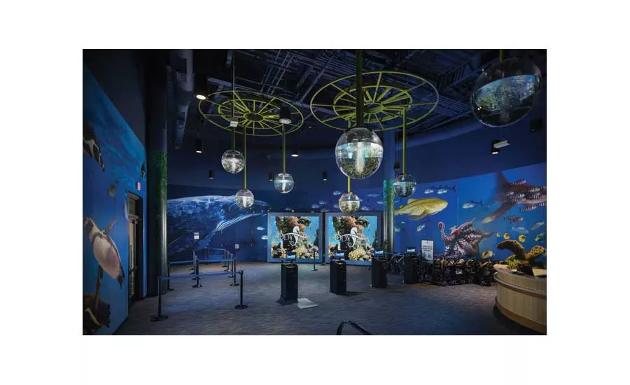 OdySea Aquarium
