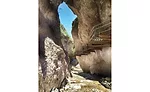 Catwalk Trail Reconstruction