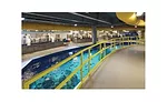 OdySea Aquarium