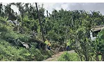 Naranjito helicopter support