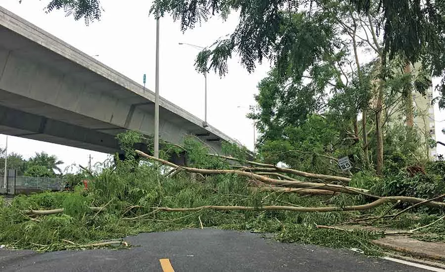 Hurricane Irma