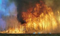 Canada’s Northwest Territories high-intensity crown-fire burn experiment