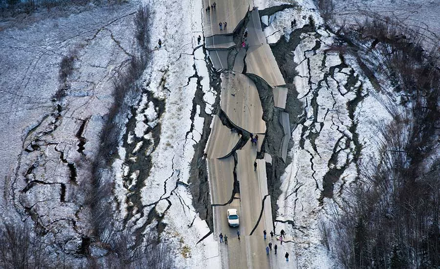 Splintered Vine Road