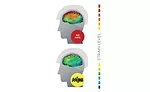 construction helmets