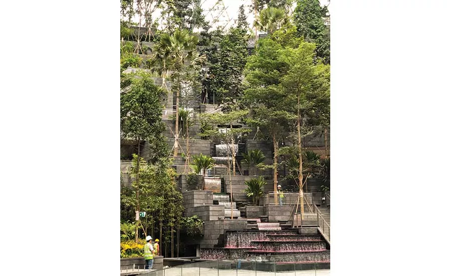 Jewel Changi trees and shrubs