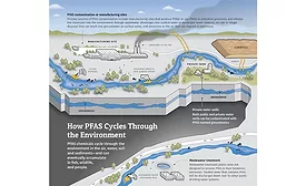 PFAS