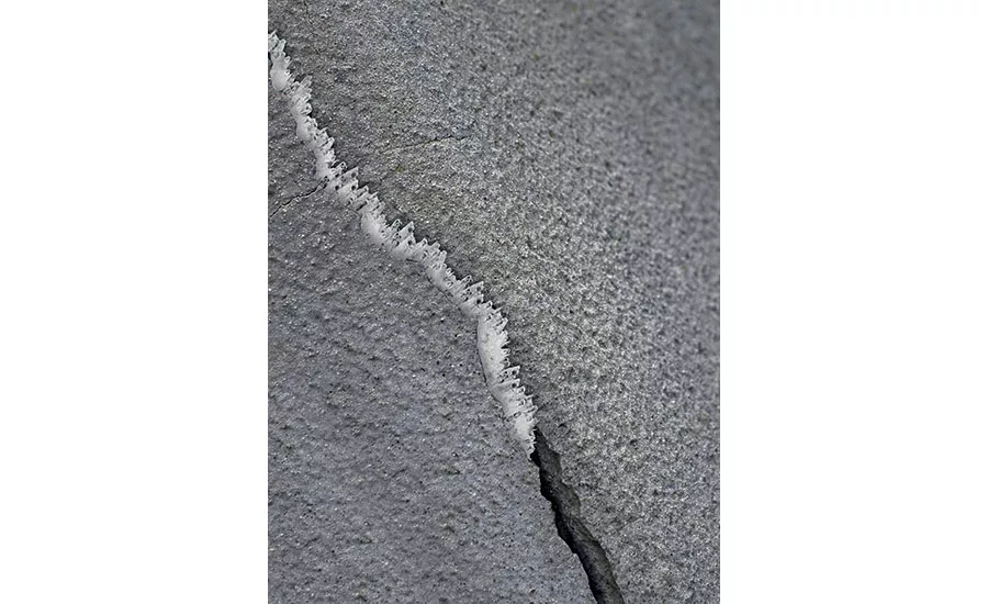 WT-240 P powdered reducing admixture
