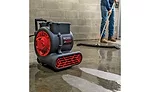 Air Mover’s induction motor