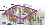 Shoring frames