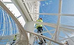 Enid A. Haupt Conservatory Palm Dome Restoration