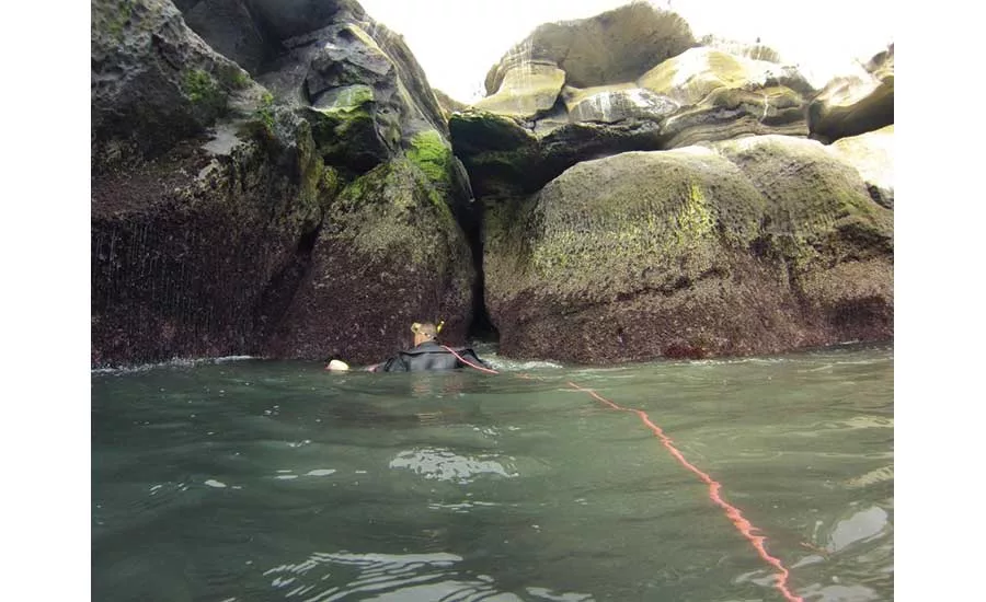 Coast Boulevard Sea Cave Emergency Stabilization