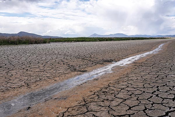 California drought