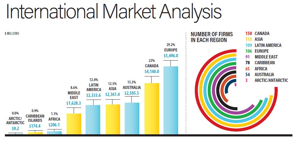 International Market Analysis