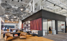 glass-walled meeting rooms