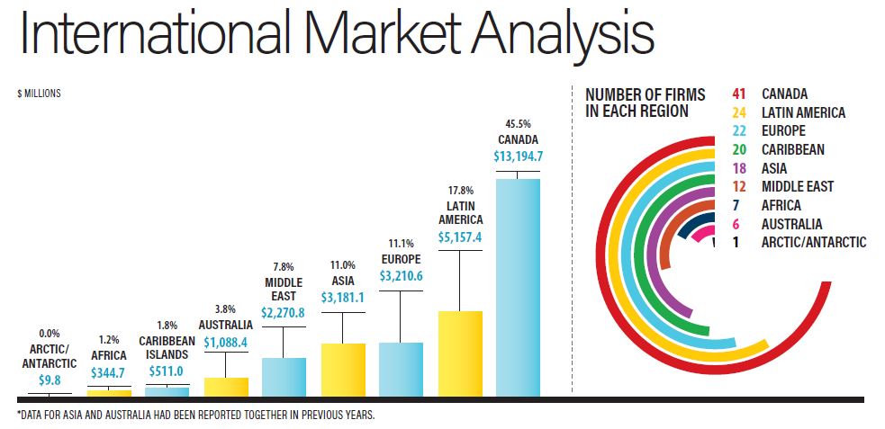 International market analysis