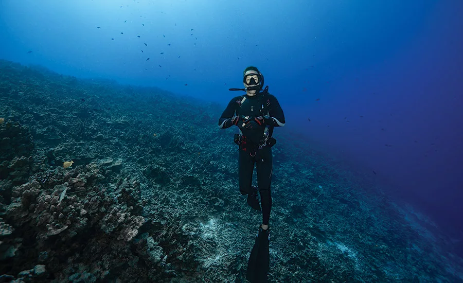 degraded reefs