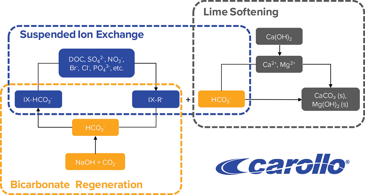 Carollo diagram