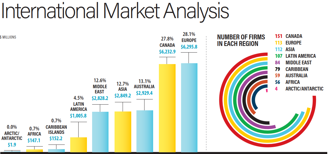 International Market Analysis