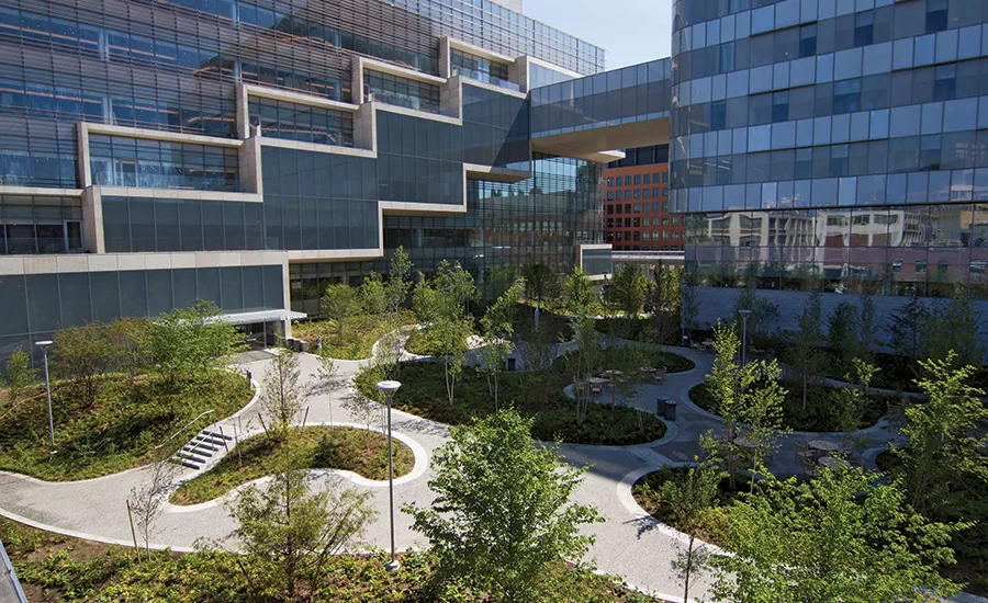 Novartis Cambridge Campus courtyard