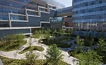 Novartis Cambridge Campus courtyard
