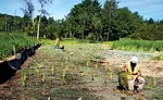 Sutton Brook Superfund site remediation