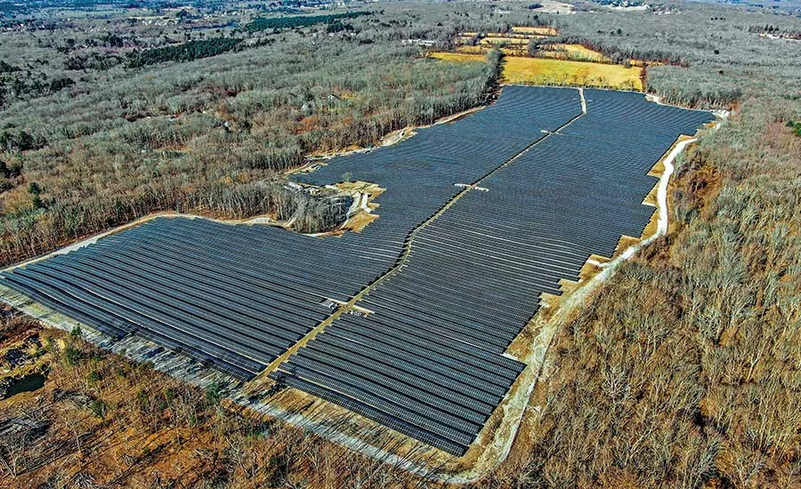 Gold Meadow Farms