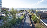 THE HIGH LINE