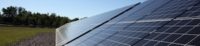 NYBC Institute StartsgroSolar Solar Farm
