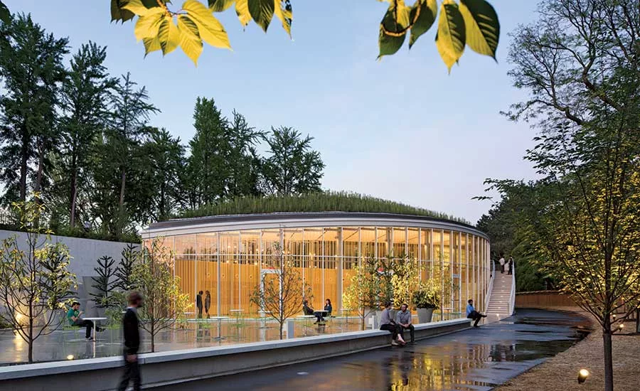 Green roofs