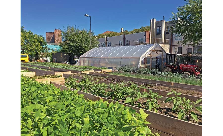 Project EATS’ garden