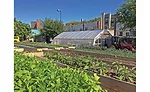 Project EATS’ garden