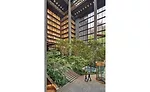 Ford Foundation