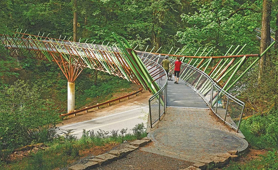 Barbara Walker Crossing