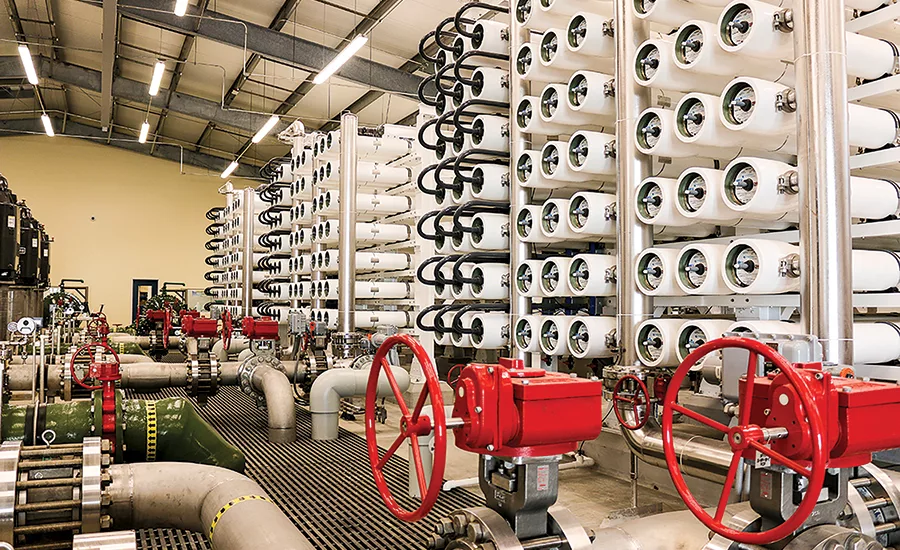Tarpon Springs process room