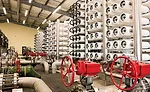 Tarpon Springs process room