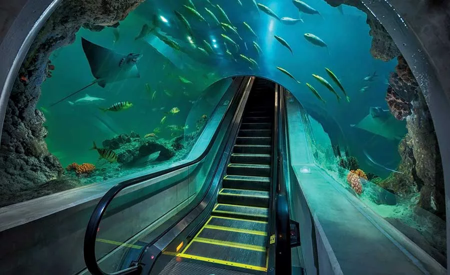 OdySea Aquarium