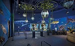 OdySea Aquarium