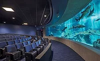 OdySea Aquarium