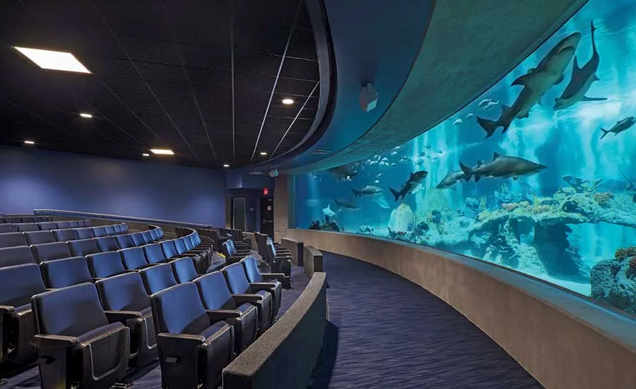 OdySea Aquarium